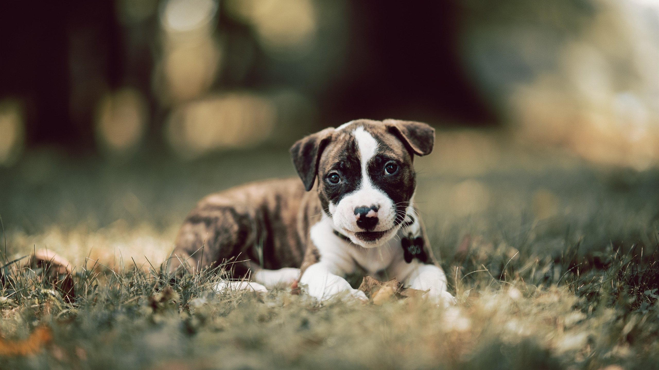 KAIYUN 中国大陆-友情岁月：那些因为篮球结下的兄弟情谊，因篮球结缘的友情