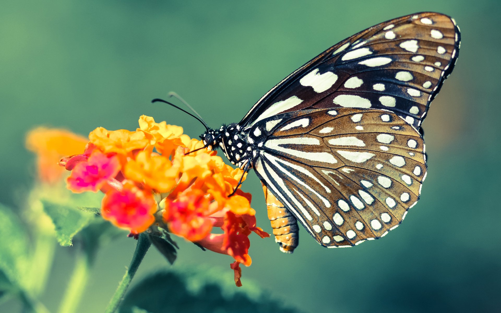 国乒男双组合调整,老将许昕告别国家队,乒乓球男双许昕