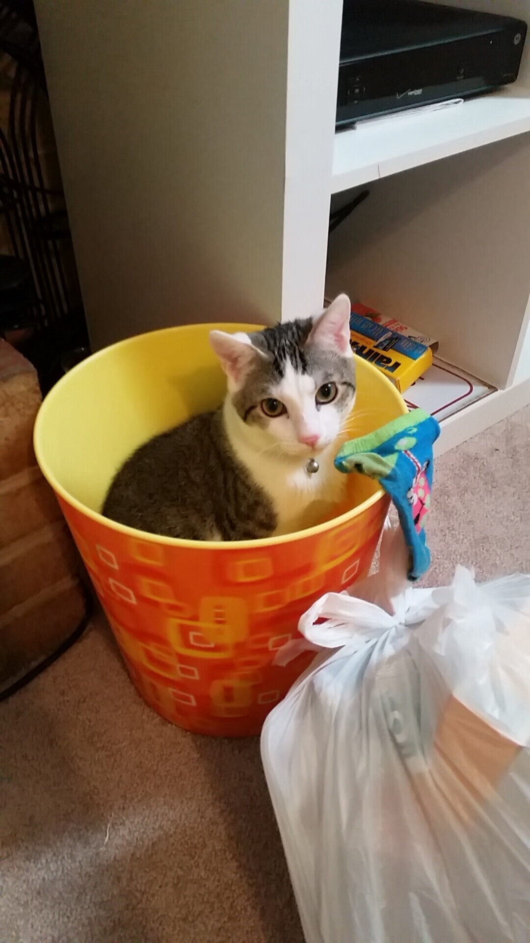 kaiyun体育app-明星投篮：那些漂亮的三分投篮瞬间，三分投篮命中率最高的球员