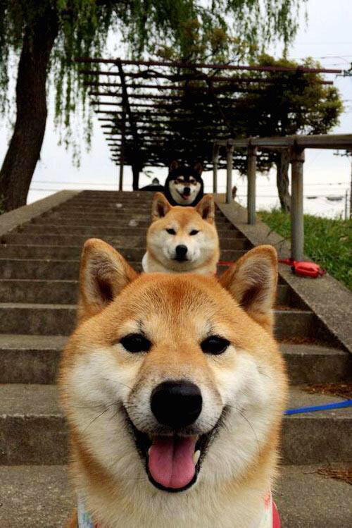 湖人队伤员逐渐康复,季后赛阵容逐步完整,湖人队季后赛赛程