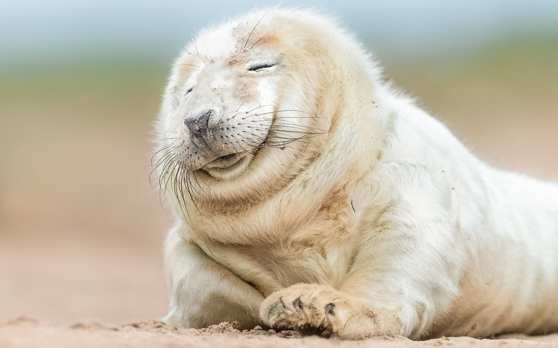 终极“绝杀术士”:逆转比赛的制胜法宝,绝杀招式