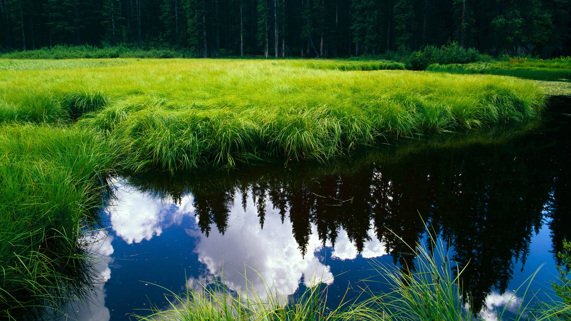 英超豪门再度调整战术体系,迎接新挑战,英超6大豪门