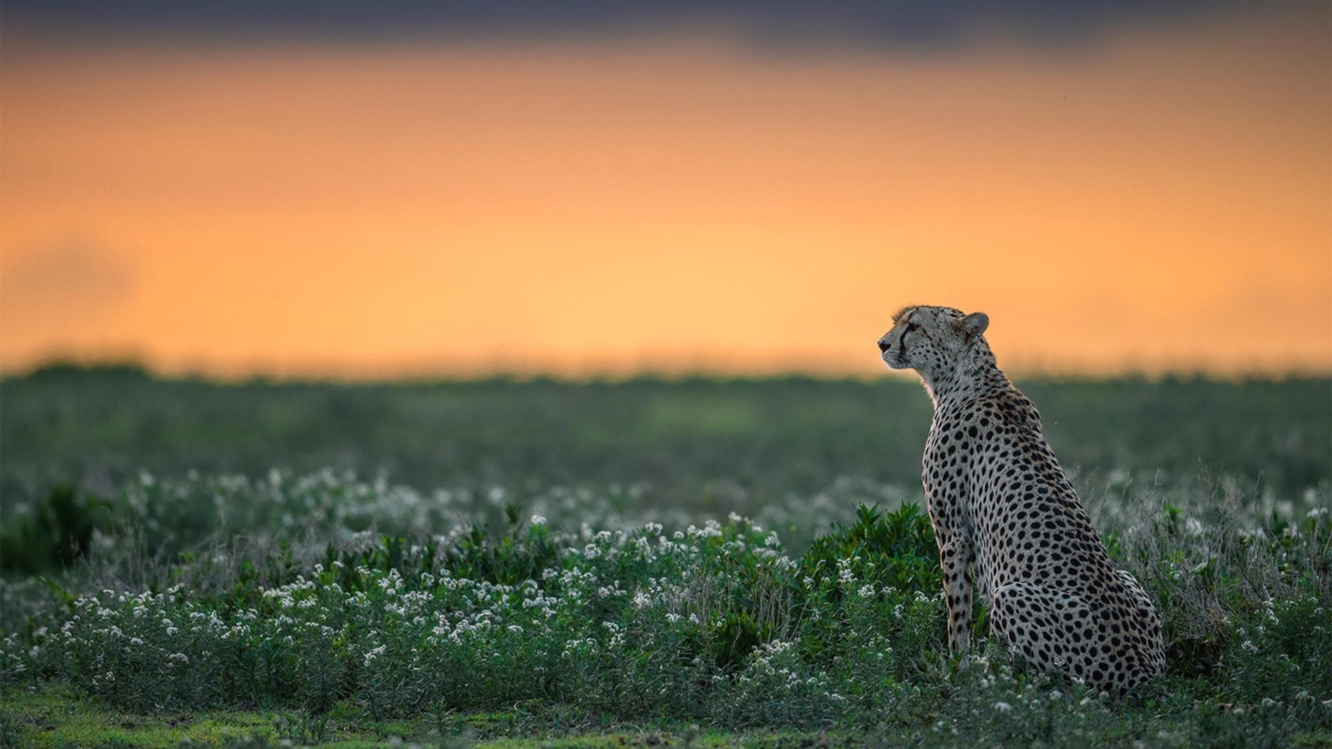 赛季最震撼的十次火爆扣篮盘点,nba十佳扣篮大赛