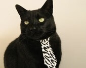 中国男子重剑世锦赛问鼎冠军,创历史突破,2021男子重剑冠军