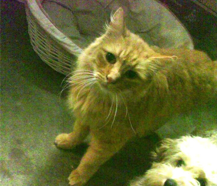 开云官网-公牛球员私下组织训练 团结力量倍增，公牛球队著名球员