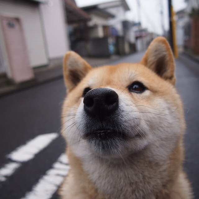 切尔西女足赛季总结与展望,切尔西女足什么水平