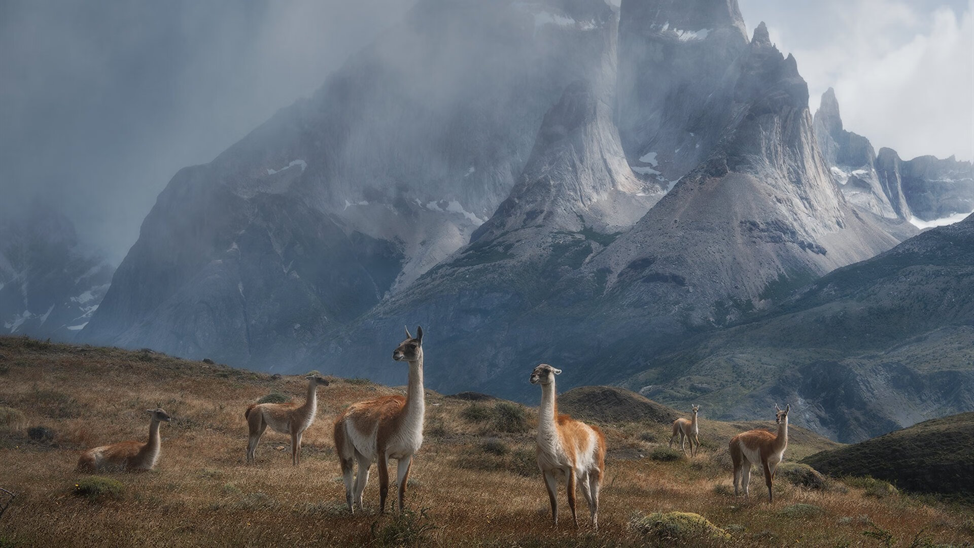 河南建业将面对深圳佳兆业，胜负背后谁能掌握主动？，河南建业与深圳佳兆业直播