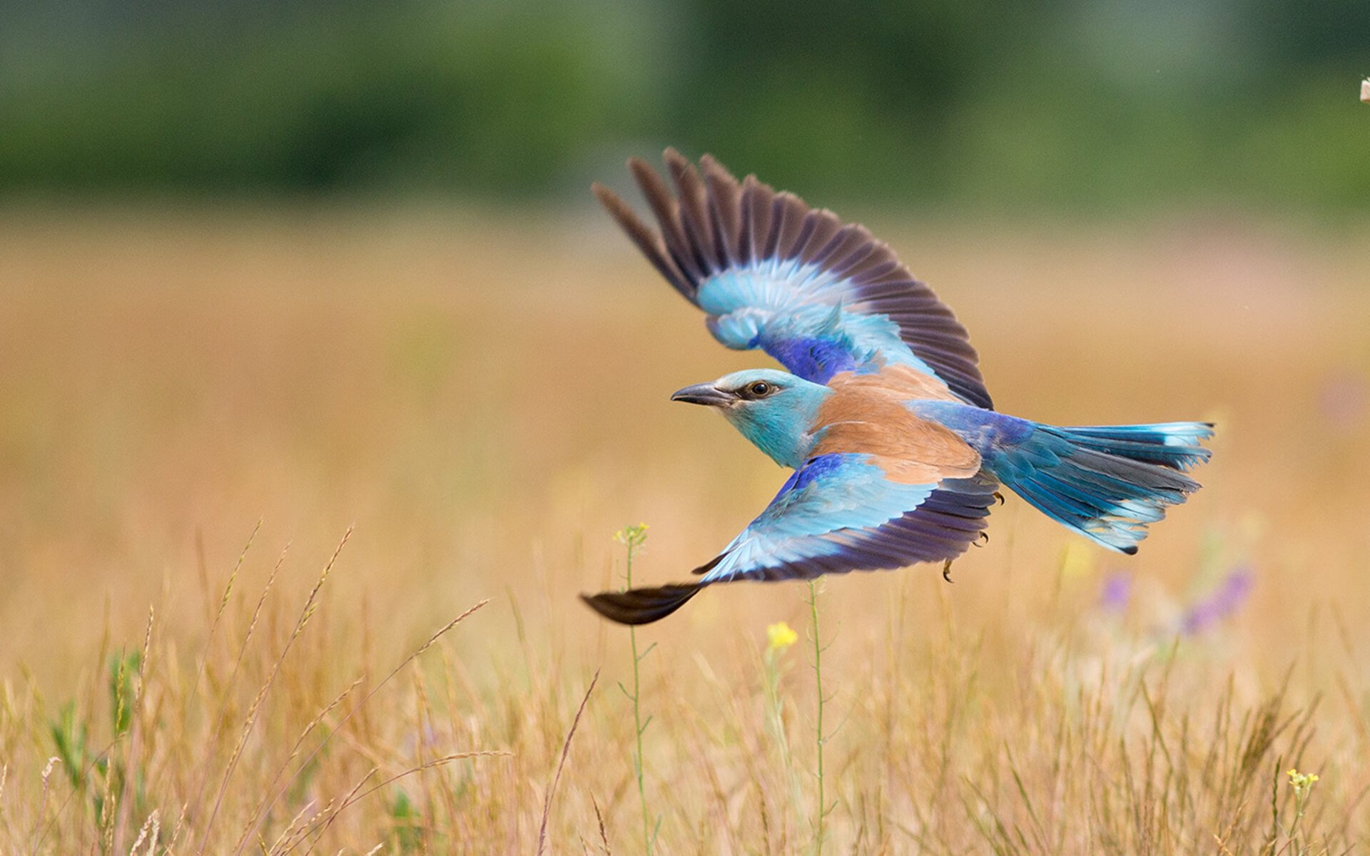活塞太阳抗衡，场上擦出激烈火花，活塞活塞