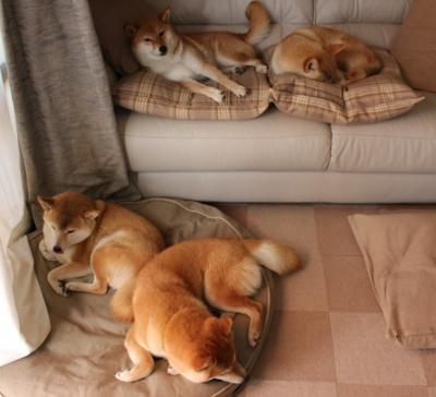 Kaiyun(中国)开云-瓜达拉哈拉主场迎战阿尔阿赫利，德比战备受关注，瓜达拉哈拉是哪个国家