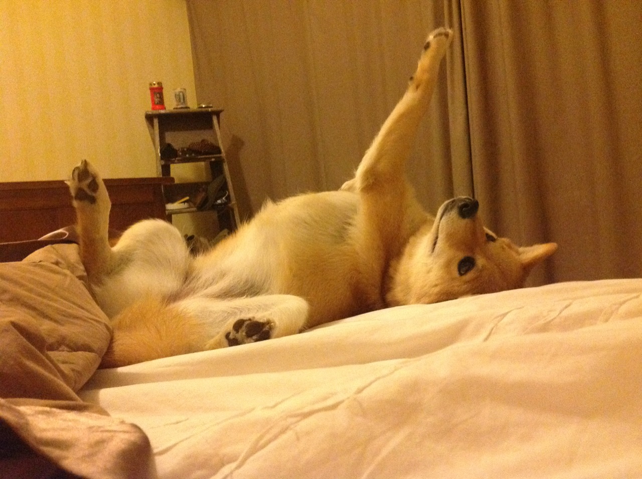 韩国芯片企业加强全球布局，韩国的芯片企业