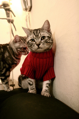 全国青少年铁人赛青岛站环节顺利完成，铁人杯全国竞走