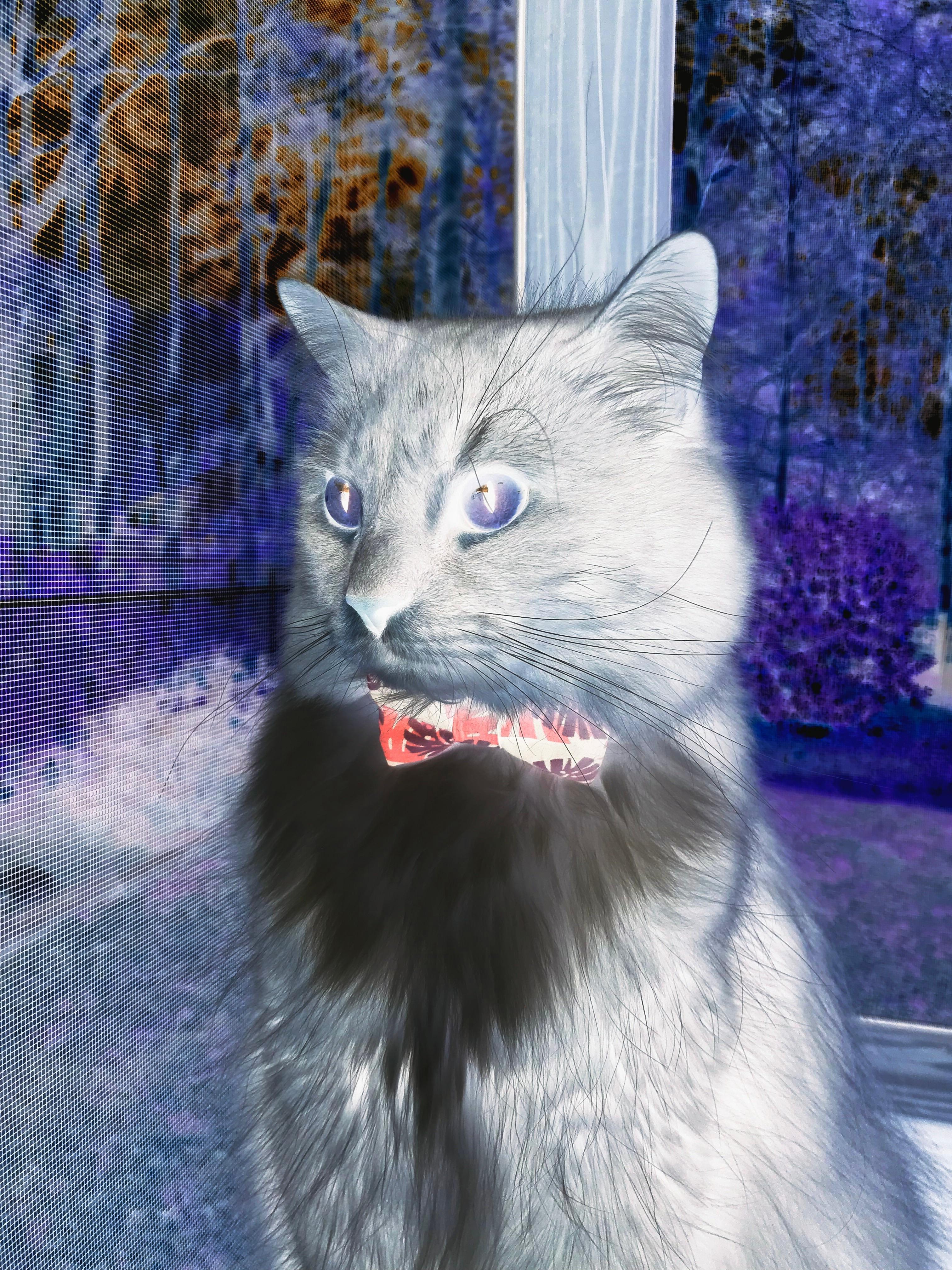 “六人制袋棍球赛场:东部新区展现极限速度与灵活性”