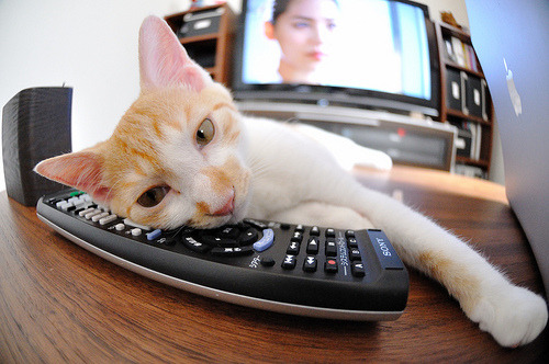 残奥项目培训进入乡村学校,残奥会运动训练计划