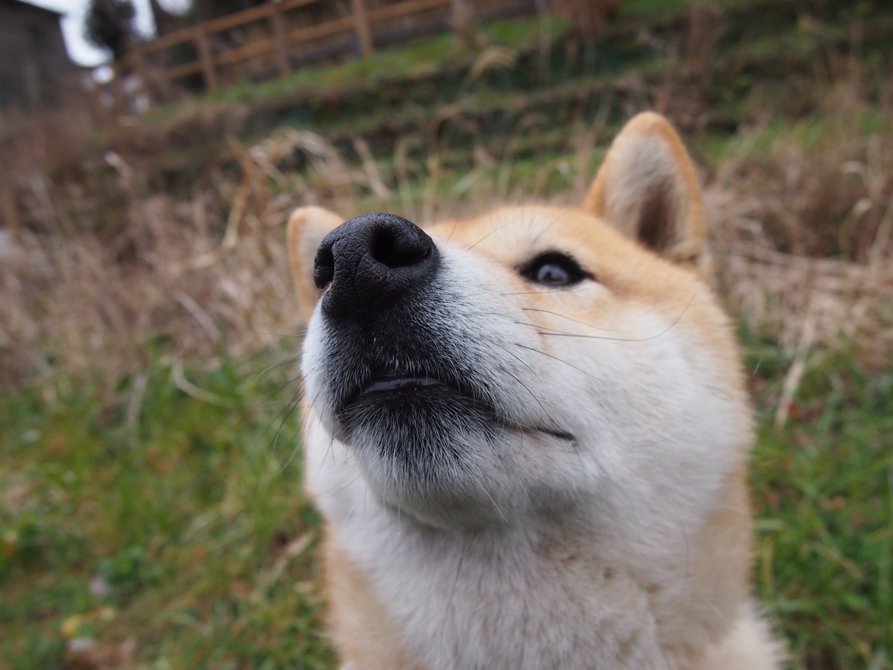 开云官方网站-CBA鼓励球员自建技能展示频道扩展职业价值，cba技术指导