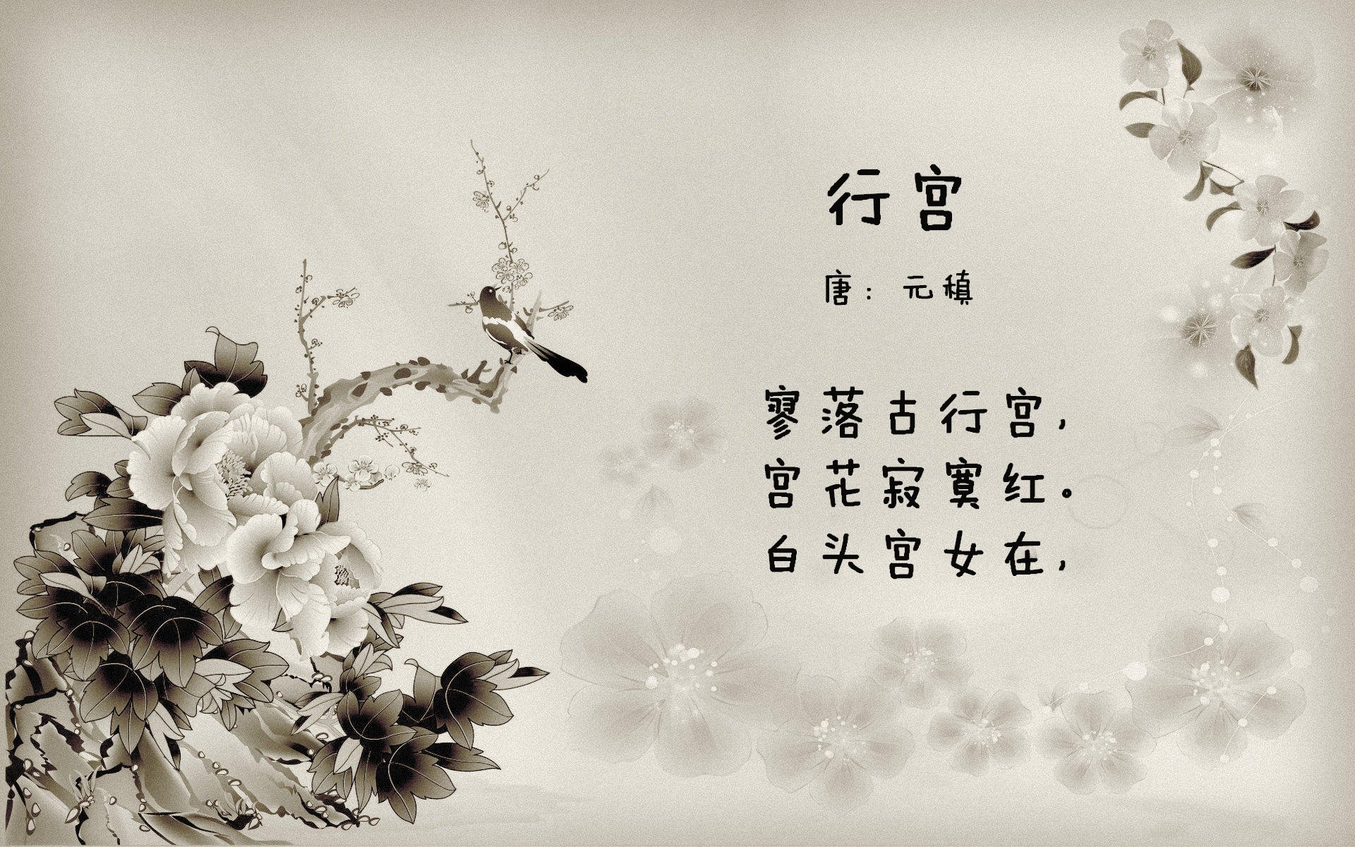 世界杯梦想成真:现场爆发的万众欢呼,世界杯规划