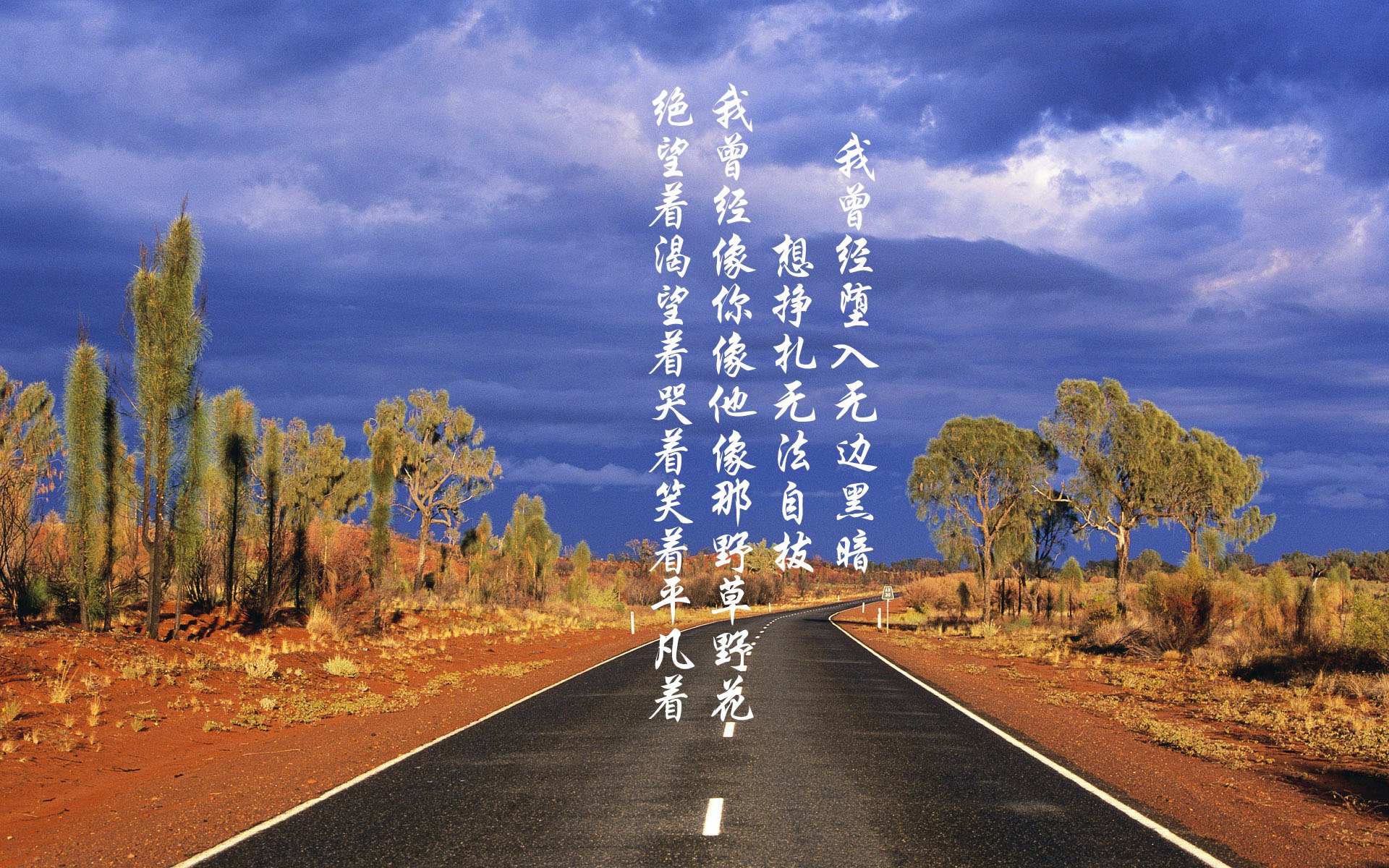 尼克斯反击成功率提升转换进攻成亮点,尼克斯训练