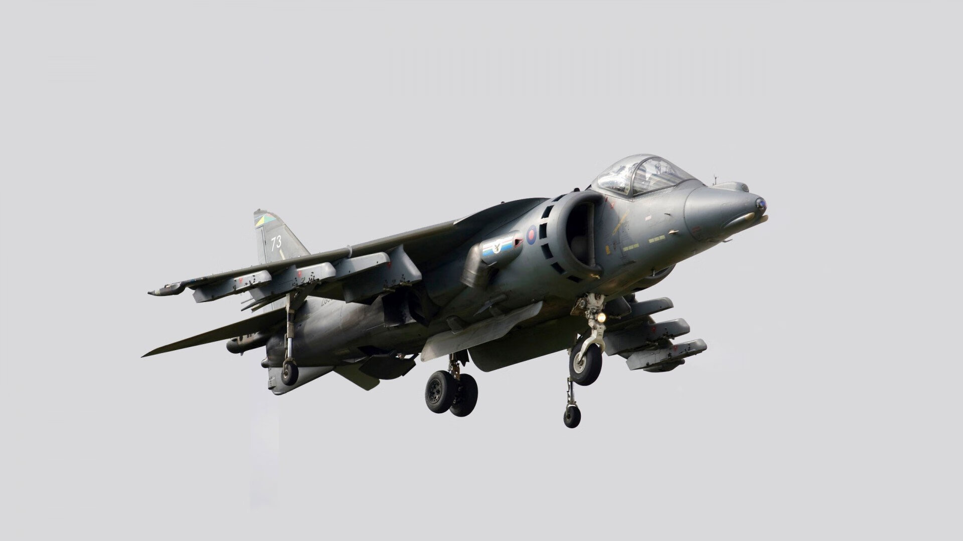 KAIYUN 中国大陆-德国泳坛“稳定器”梅尔滕斯值得信赖