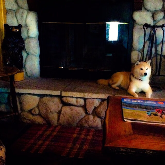 日本球队在亚洲赛事中保持强势,志在突破