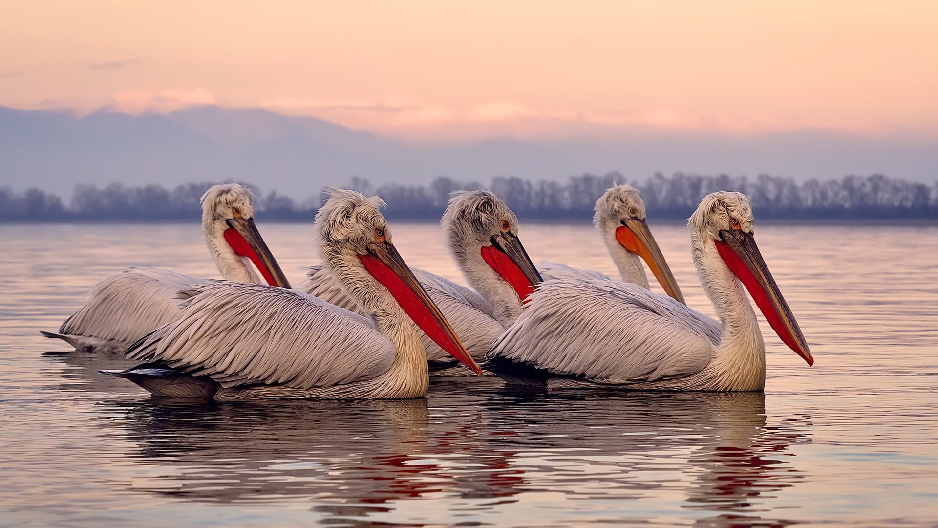 法甲霸气进攻:打穿对方防线的精彩瞬间!,法甲动作大