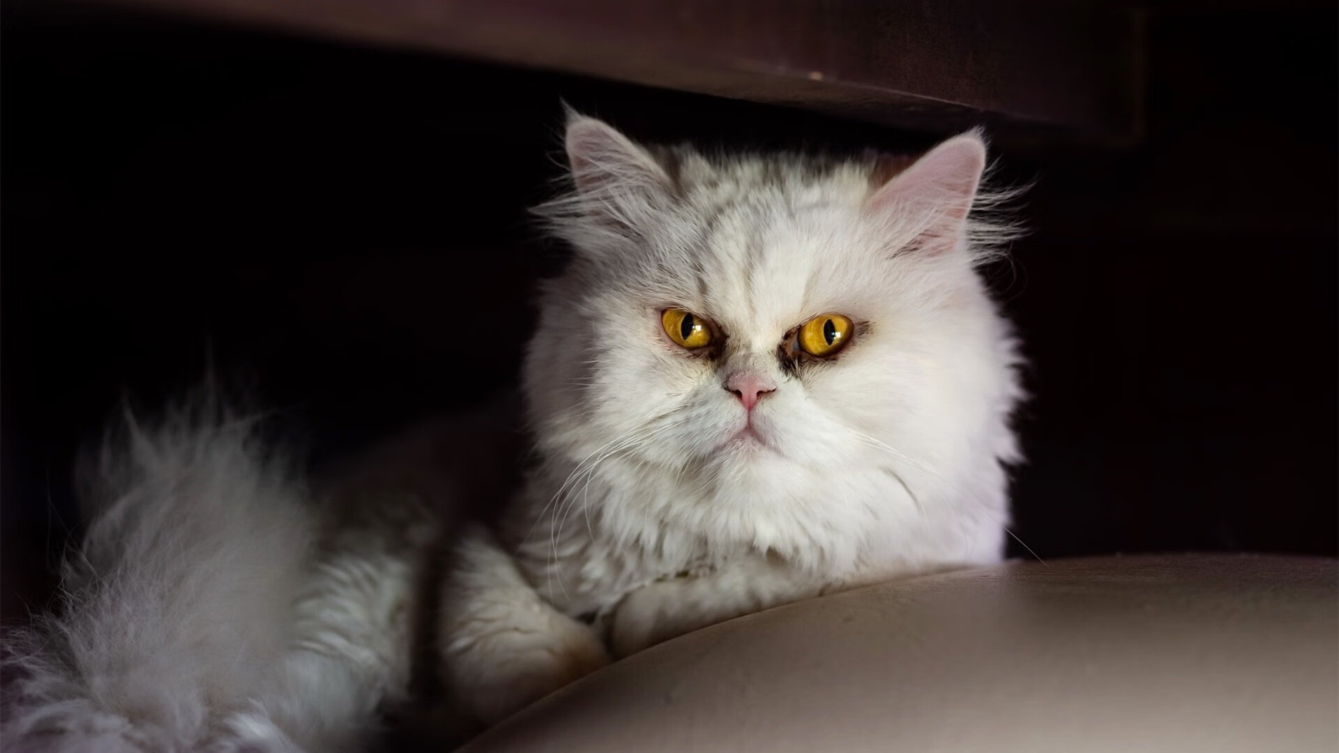 联赛组织者优化赛程减少团队长途奔波，运动表现获益，比赛组织有序